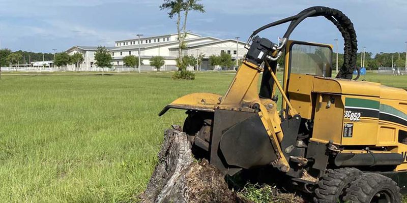 Tree Trimming & Removal