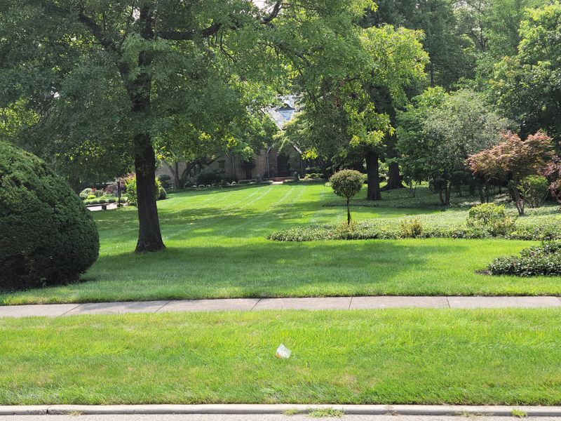 Sod And Seeding