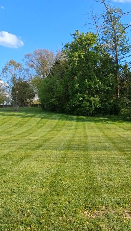 Garden Maintenance