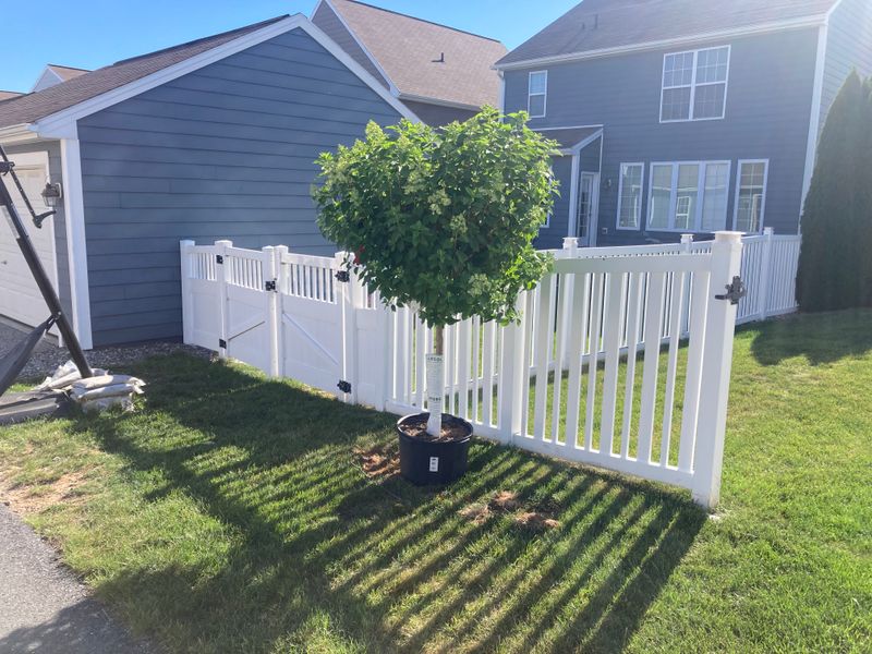 Tree & Shrub Care