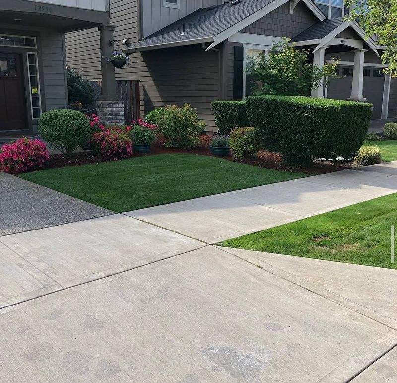Shrub Trimming