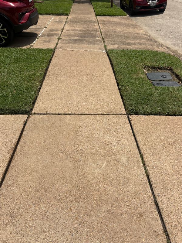 Pressure Washing