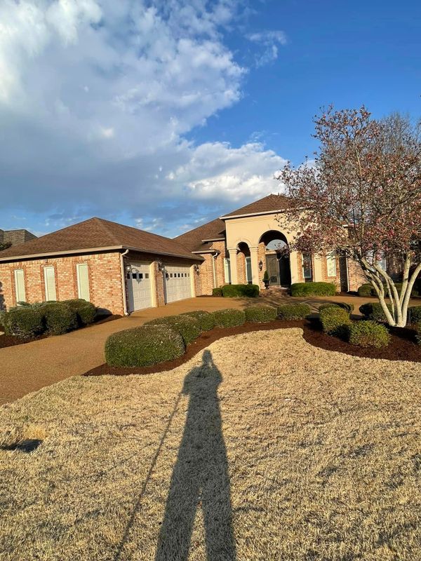 Mulch Installation