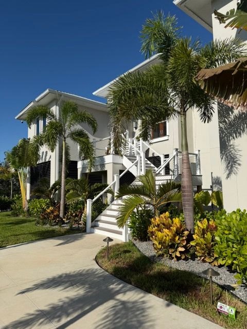 Tree and Shrub Care