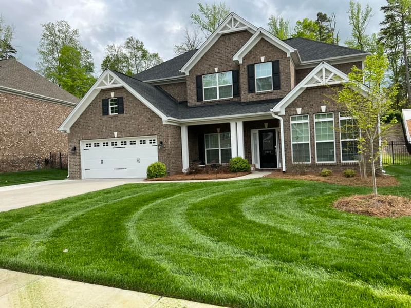 Lawn Maintenance