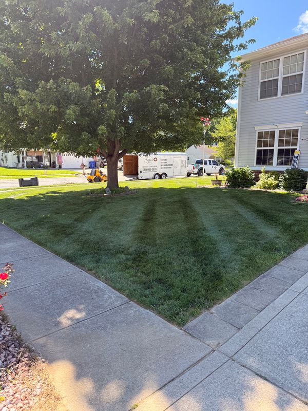 Lawn Care and Maintenance