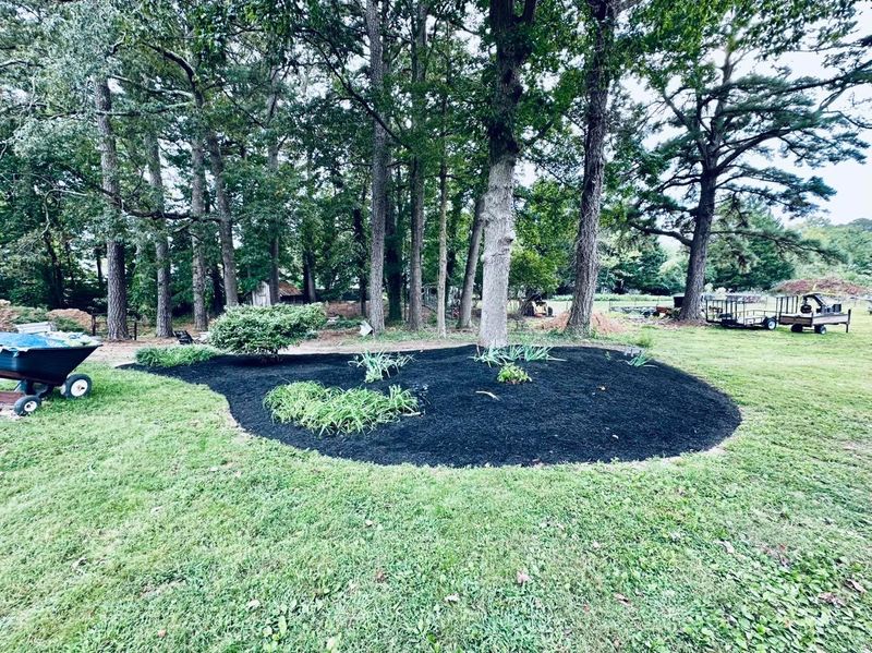 Mulch Installation