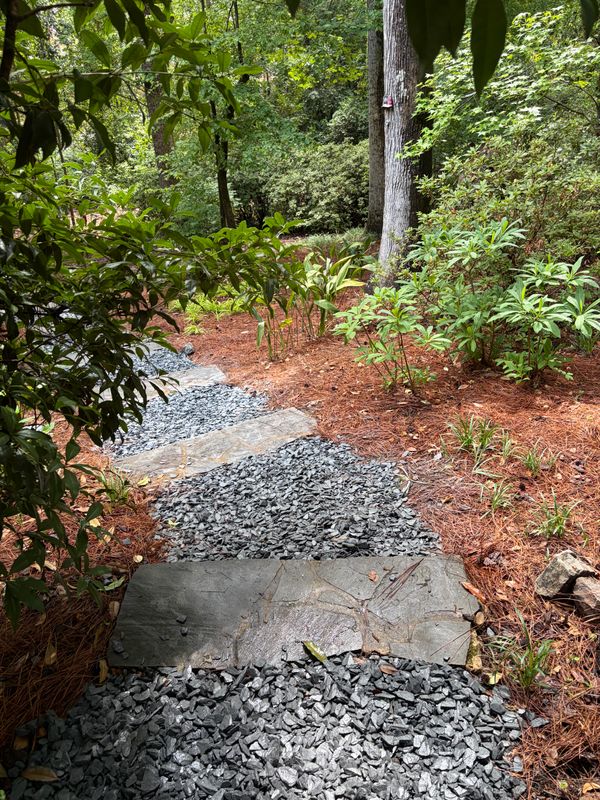 Landscape Design & Installation
