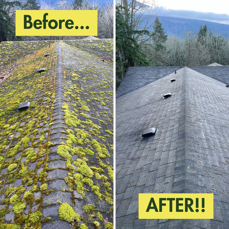 Before & After Photos