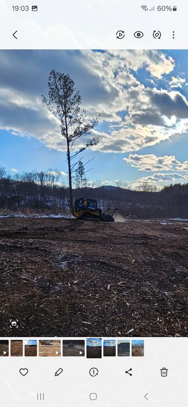 Forestry Mulching gallery