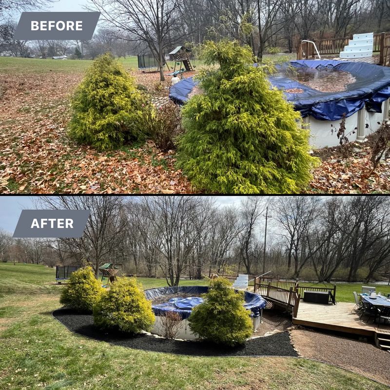 Shrub Trimming