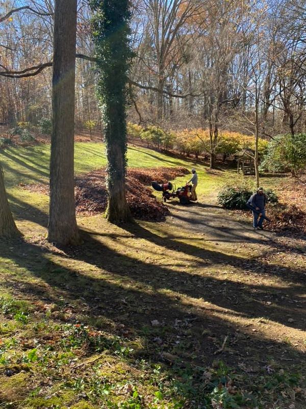 Fall Clean Up