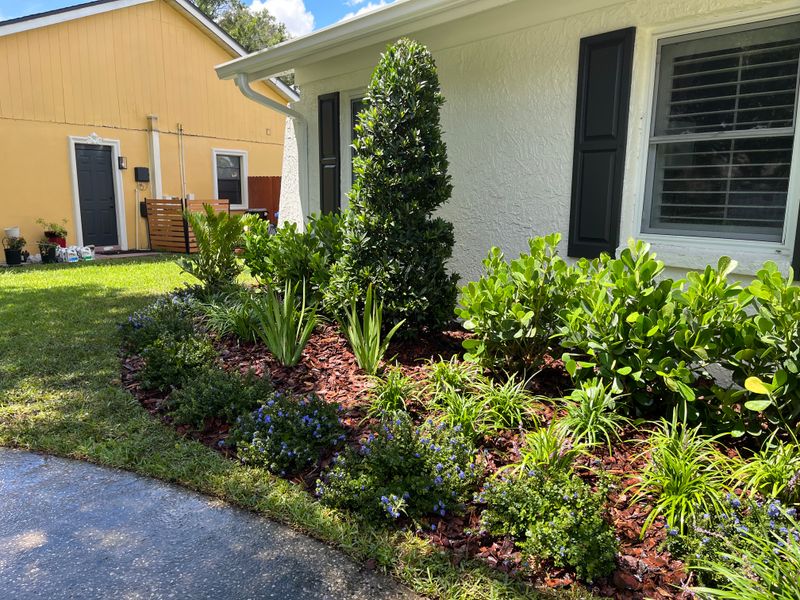 Landscape Design and Installation