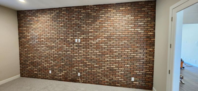 Accent walls/ Fireplace