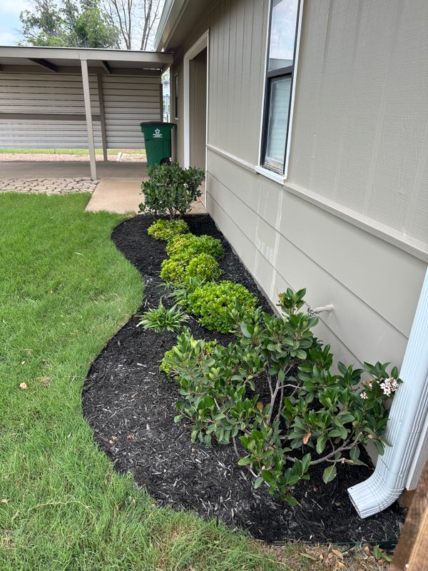Landscape Design & Installation