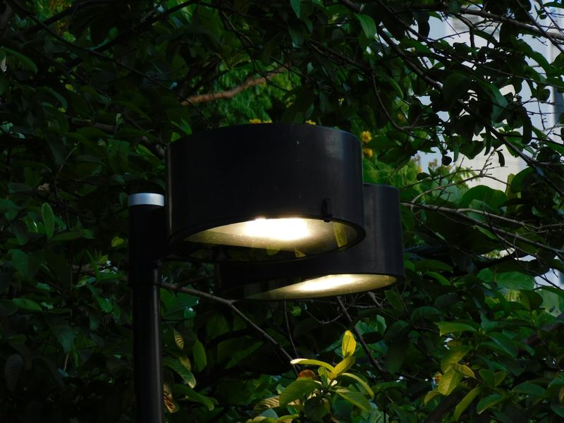 Landscape Lighting