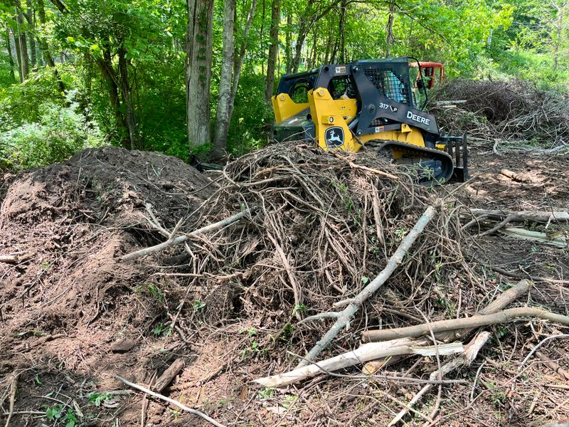 Brush & Tree Removal