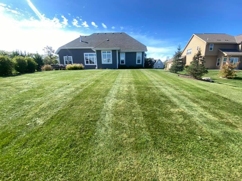 Lawn Aeration