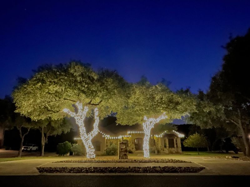 Christmas Light Installation
