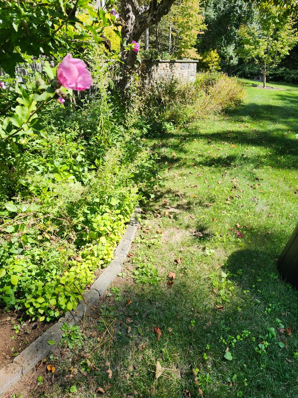 Muclhing & Weeding