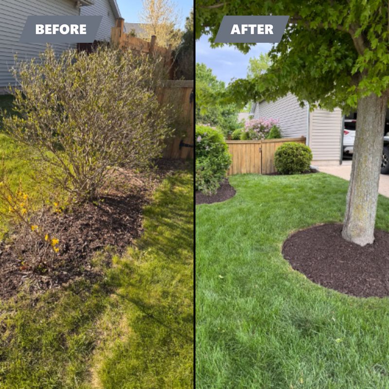 Before & After