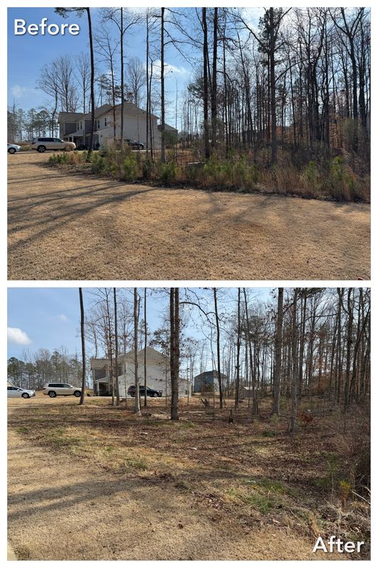 Stump Grinding & Removal