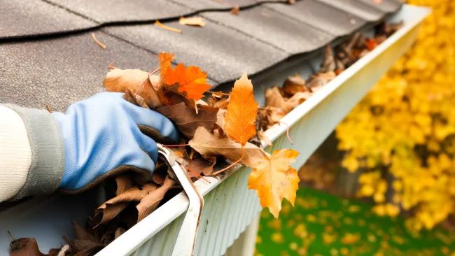 Gutter Cleaning