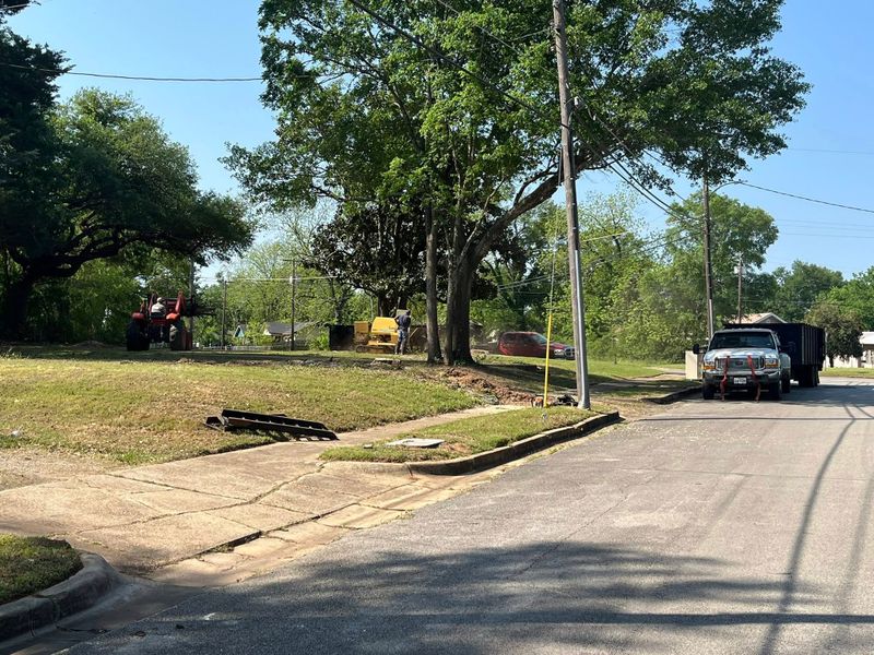 Tree Removal gallery