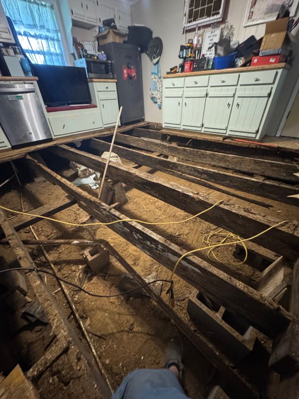 Kitchen Renovation