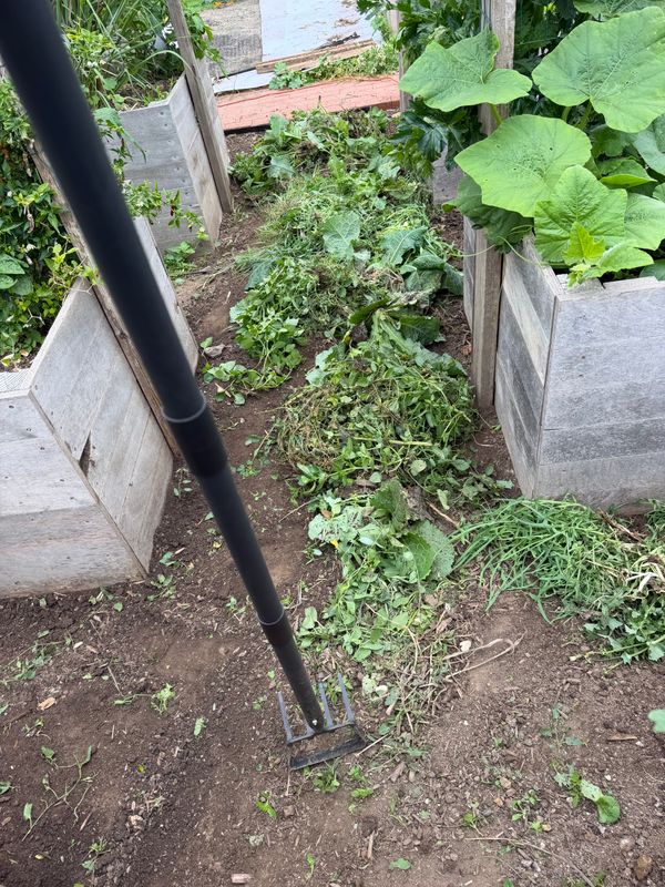 Landscaping