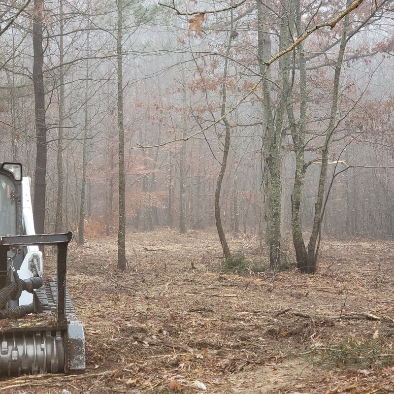 Land Clearing