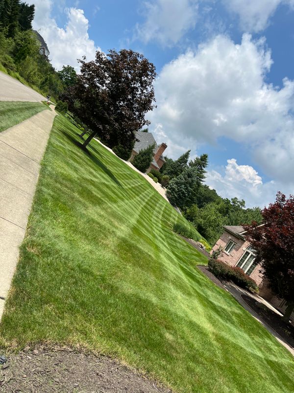 Lawn Mowing