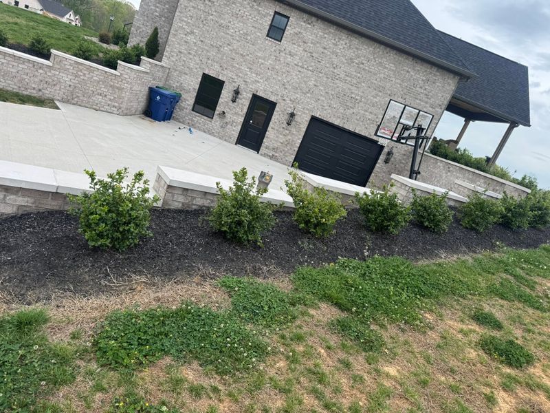 Garden Designs
