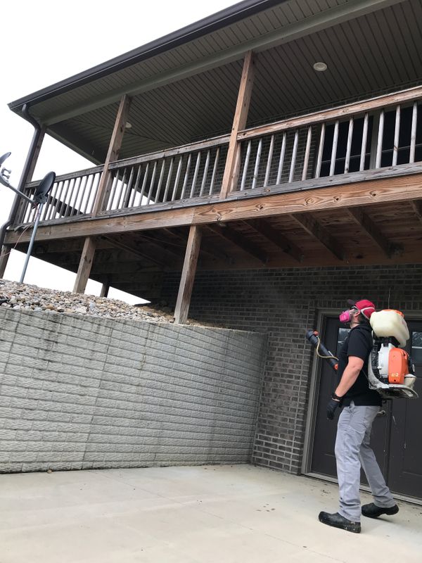 Mosquito Control