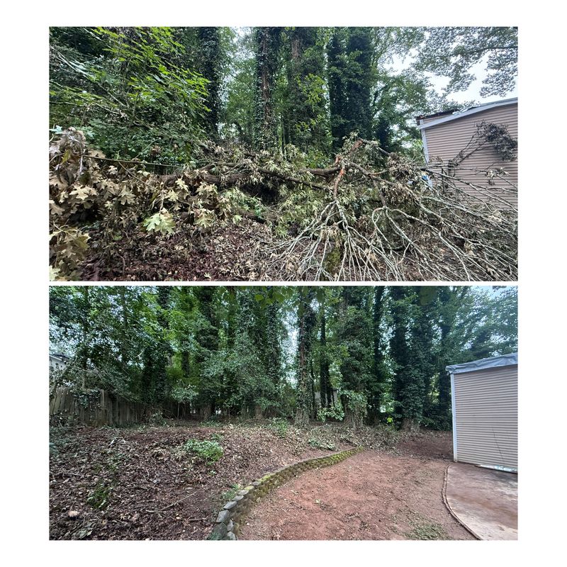 Forestry Mulching and Land Clearing