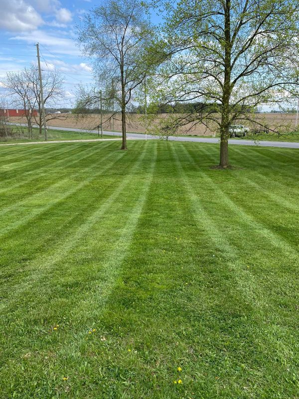 Mowing