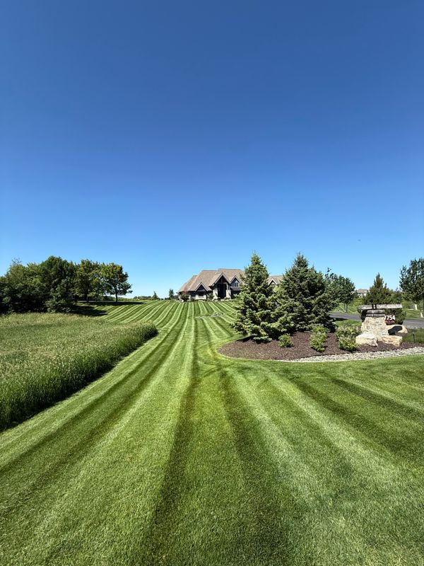 Lawn Maintenance