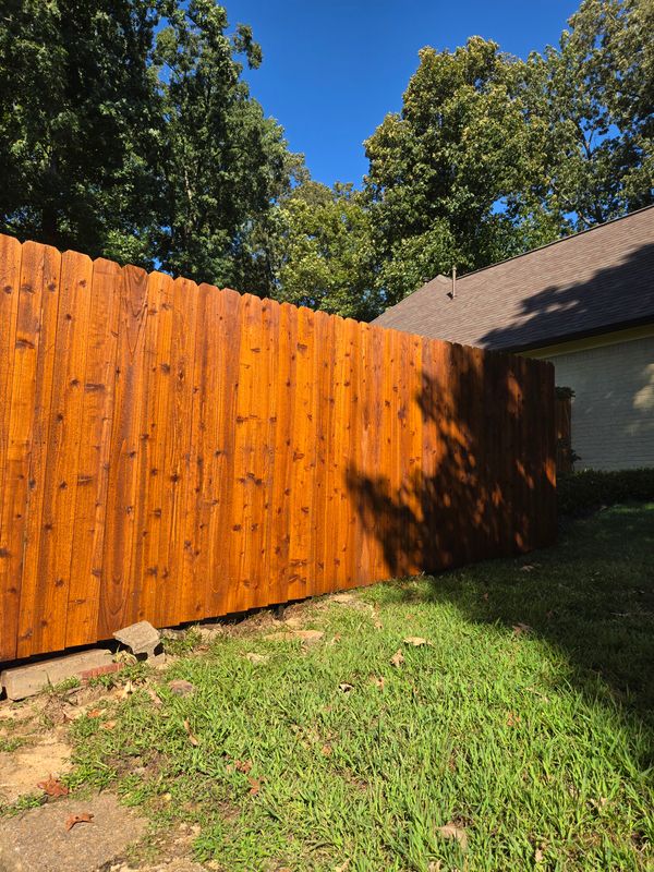 Fence Staining