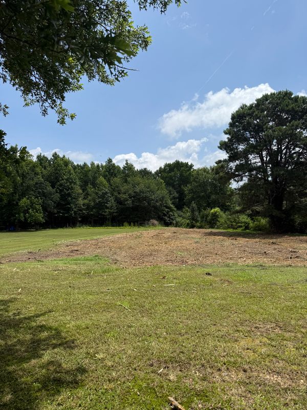 Land Clearing
