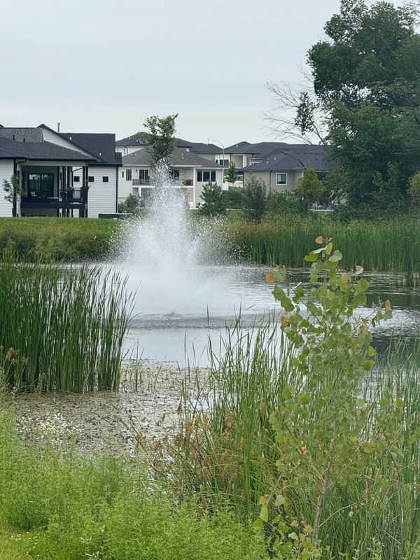 Fountain and Pond Maintenance