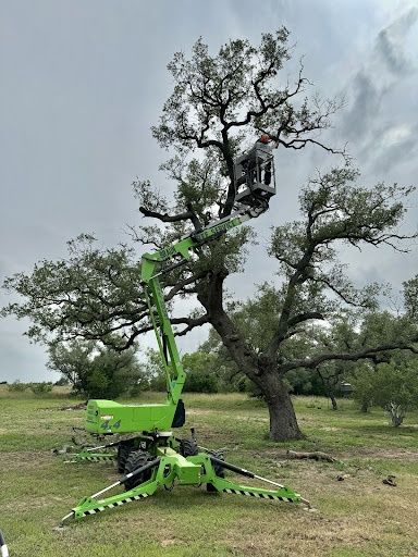 Tree Pruning