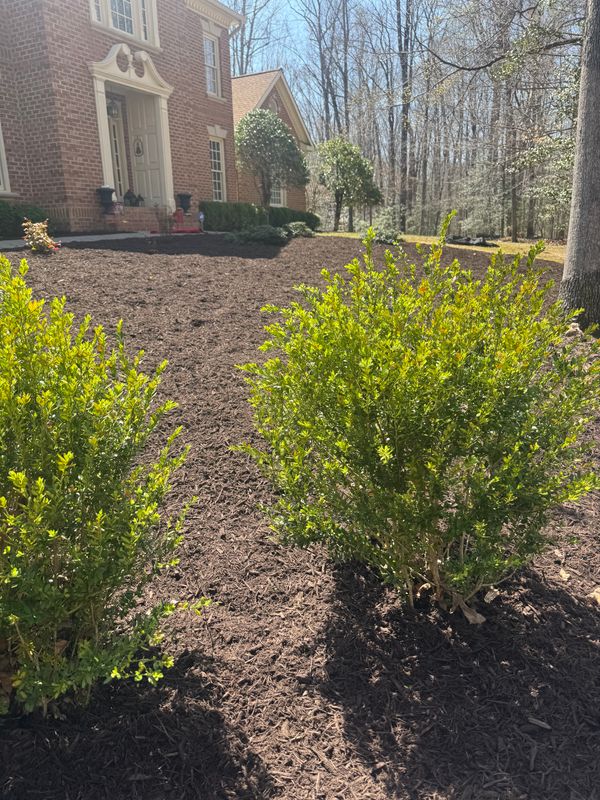 Mulch Installation