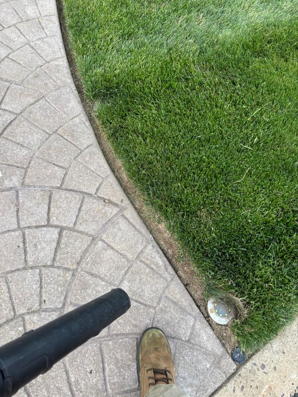 Lawn Care