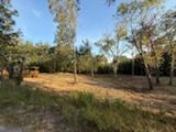 Land Clearing & Demolition