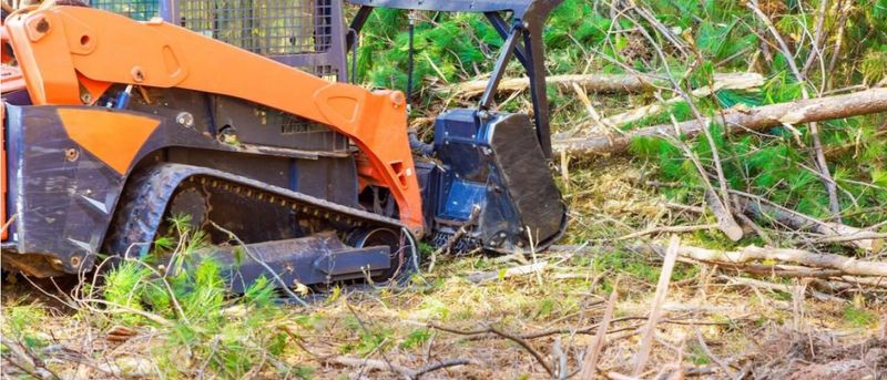 Brush Clearing
