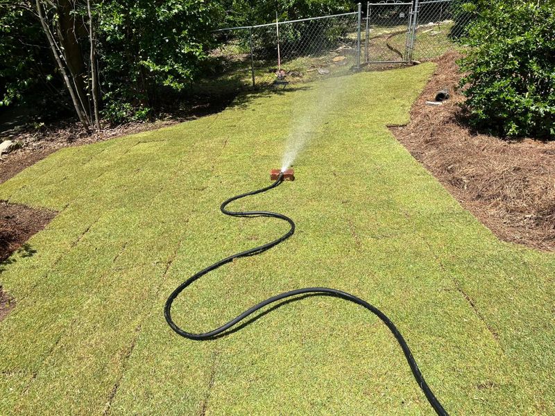 Landscape Design