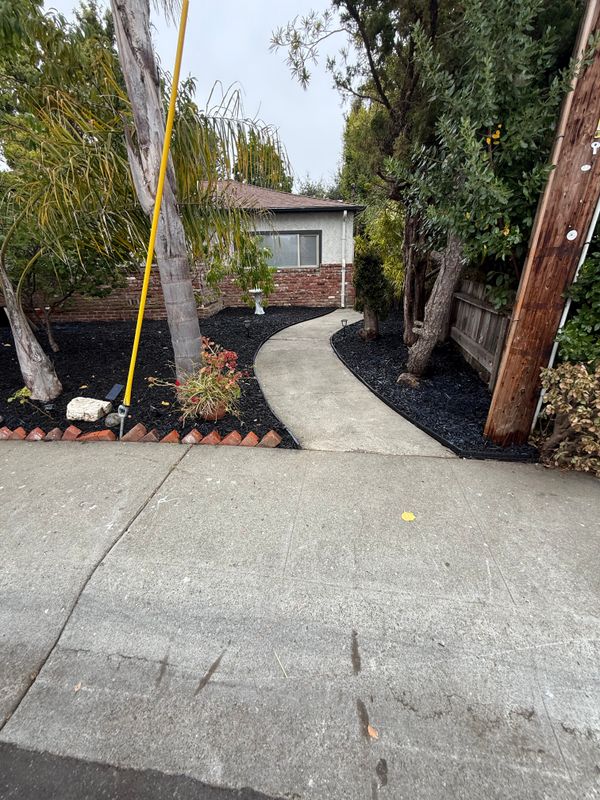 Landscaping