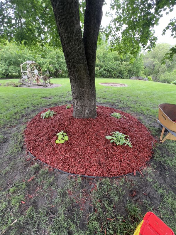 Mulch Installation