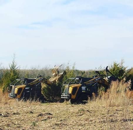 Pasture Clearing