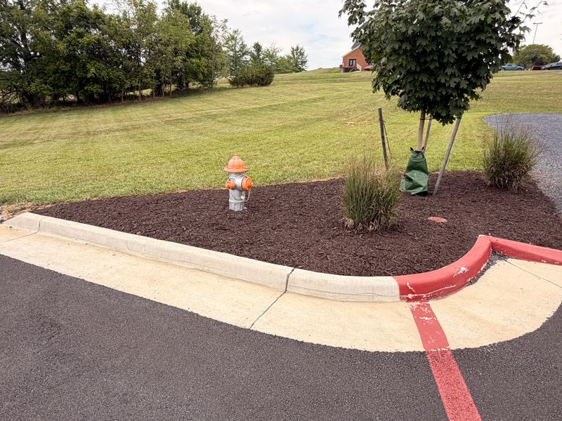 Mulch Installation